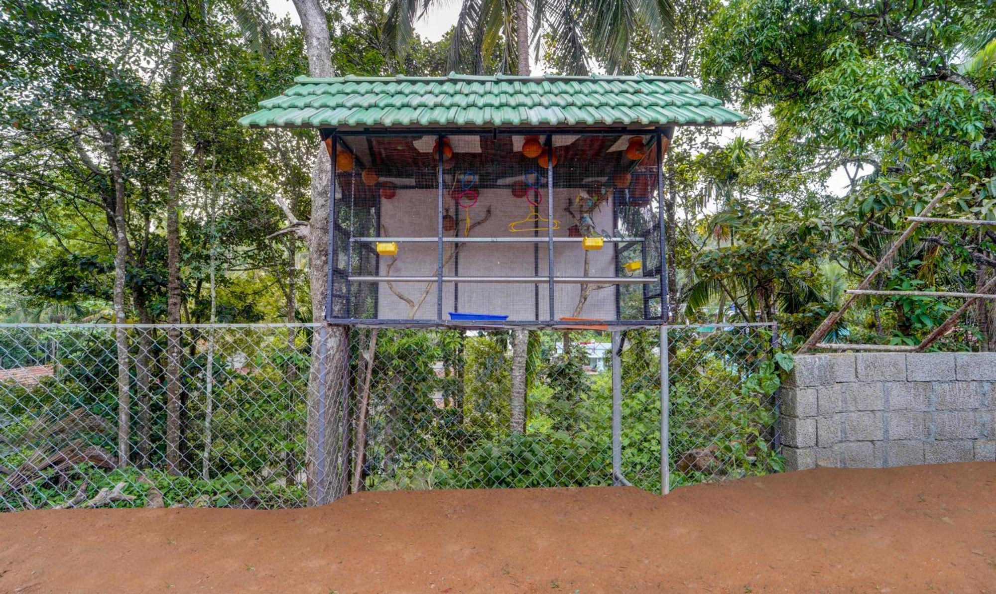 Treebo Regalia Inn Civil Station Kalpatta Ngoại thất bức ảnh